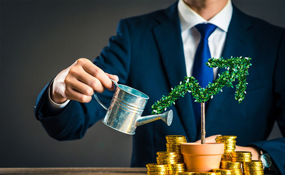 IFC rót 600 tỷ đồng vào một công ty nuôi heo của Việt Nam